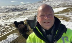 Djórini skulu hava tað gott